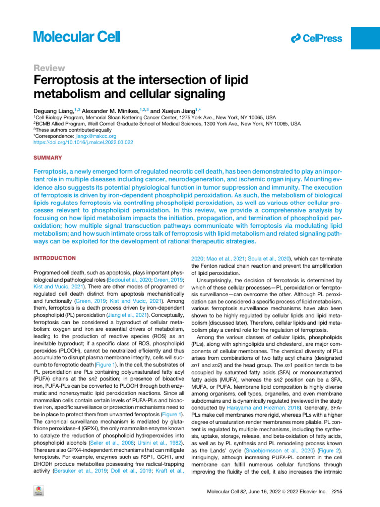 Ferroptosis at the Intersection of Lipid Metabolism and Cellular ...