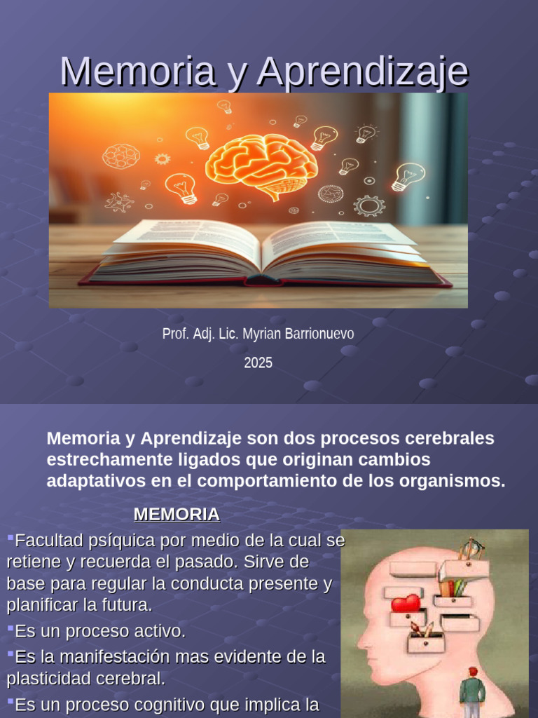 Memoria y Aprendizaje: Procesos Clave | PDF | Memoria | Aprendizaje