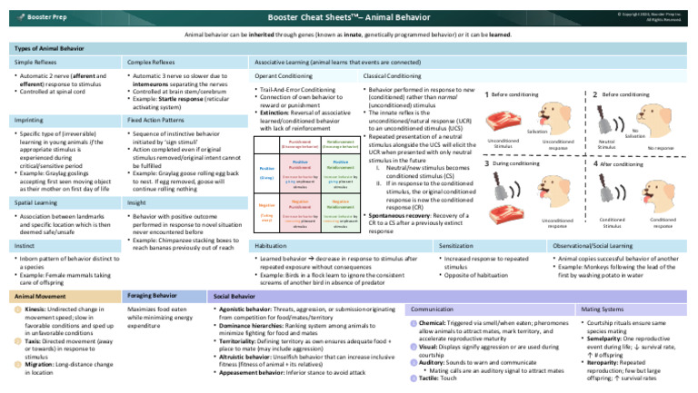 Understanding Animal Behavior Types | PDF | Classical Conditioning ...