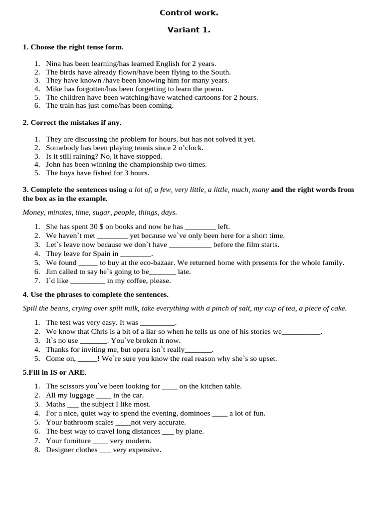 English Grammar Control Work Exercises | PDF