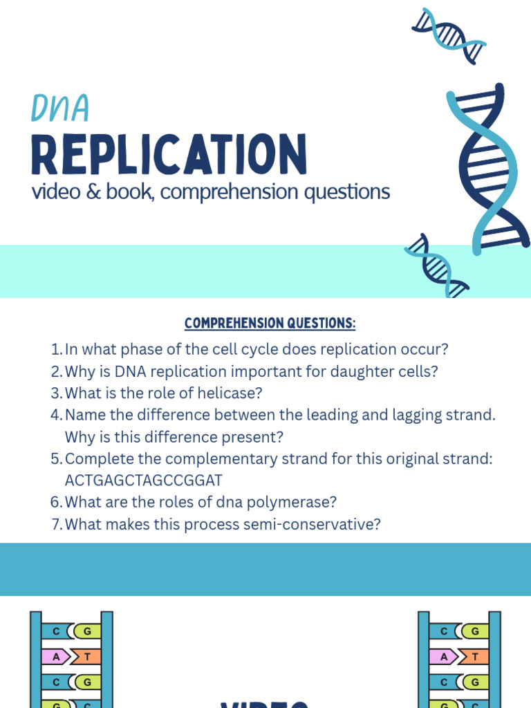 DNA Replication | PDF