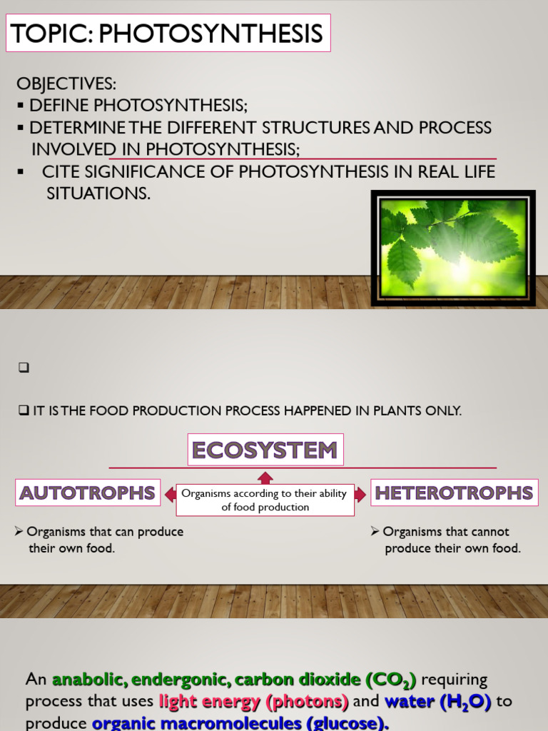 Understanding Photosynthesis Process | PDF | Nicotinamide Adenine ...