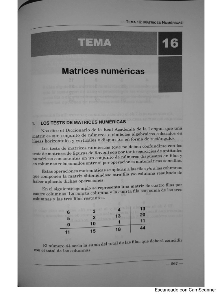 Tema 16 Matrices Numéricas | PDF