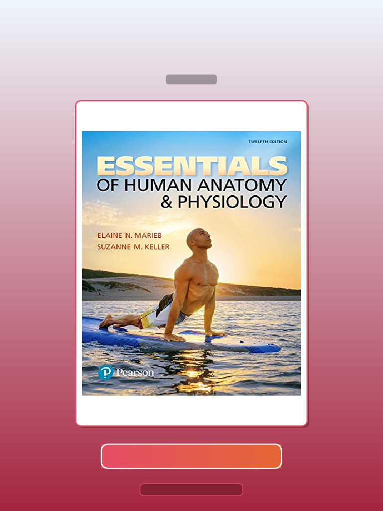 Test Bank for Essentials of Human Anatomy Physiology 12th Edition | PDF ...