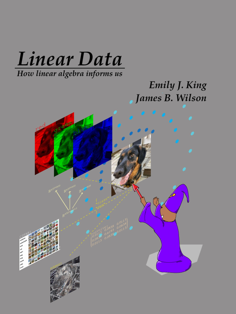Linear Data | PDF | Matrix (Mathematics) | Linear Map