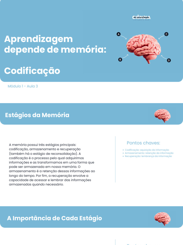 Estágios da Memória na Aprendizagem | PDF | Aprendizado | Memória