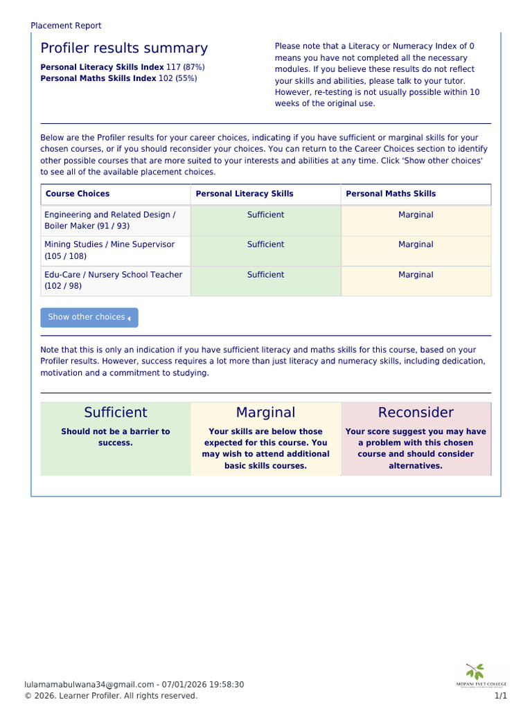 Placement Report: Skills Assessment Summary | PDF