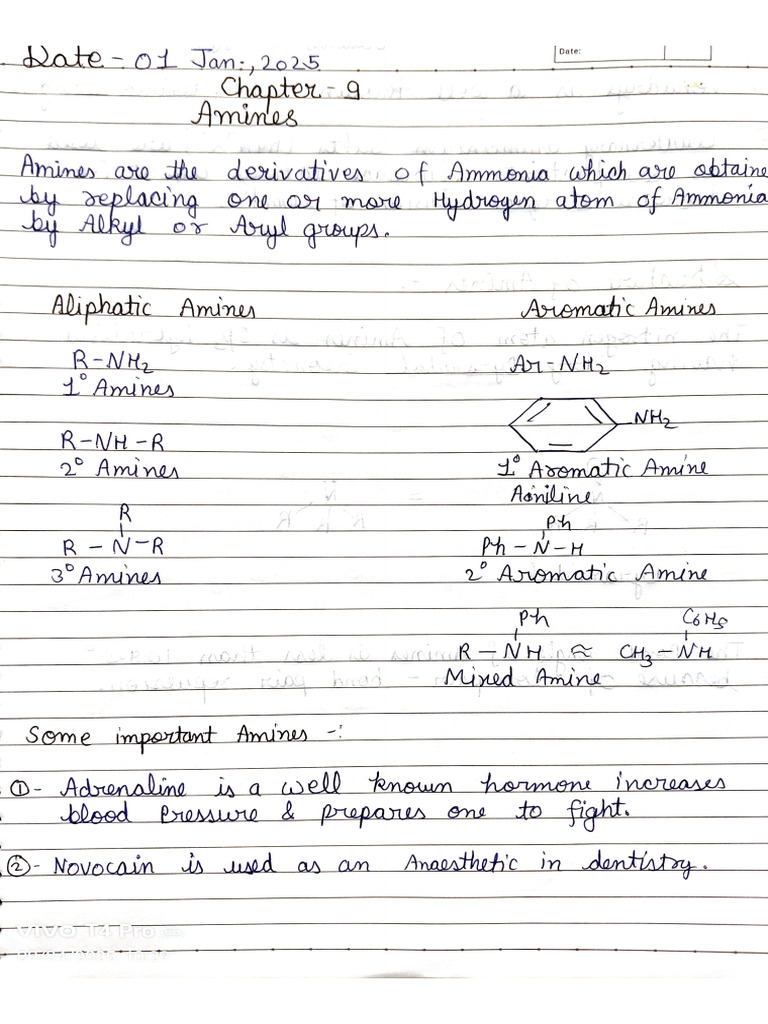 Amines Notes | PDF