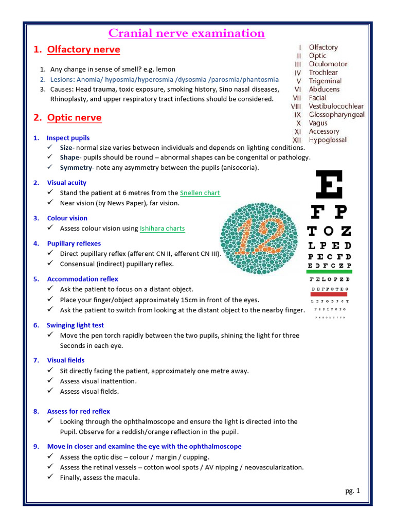 Comprehensive Cranial Nerve Exam Guide | PDF | Nervous System | Human ...