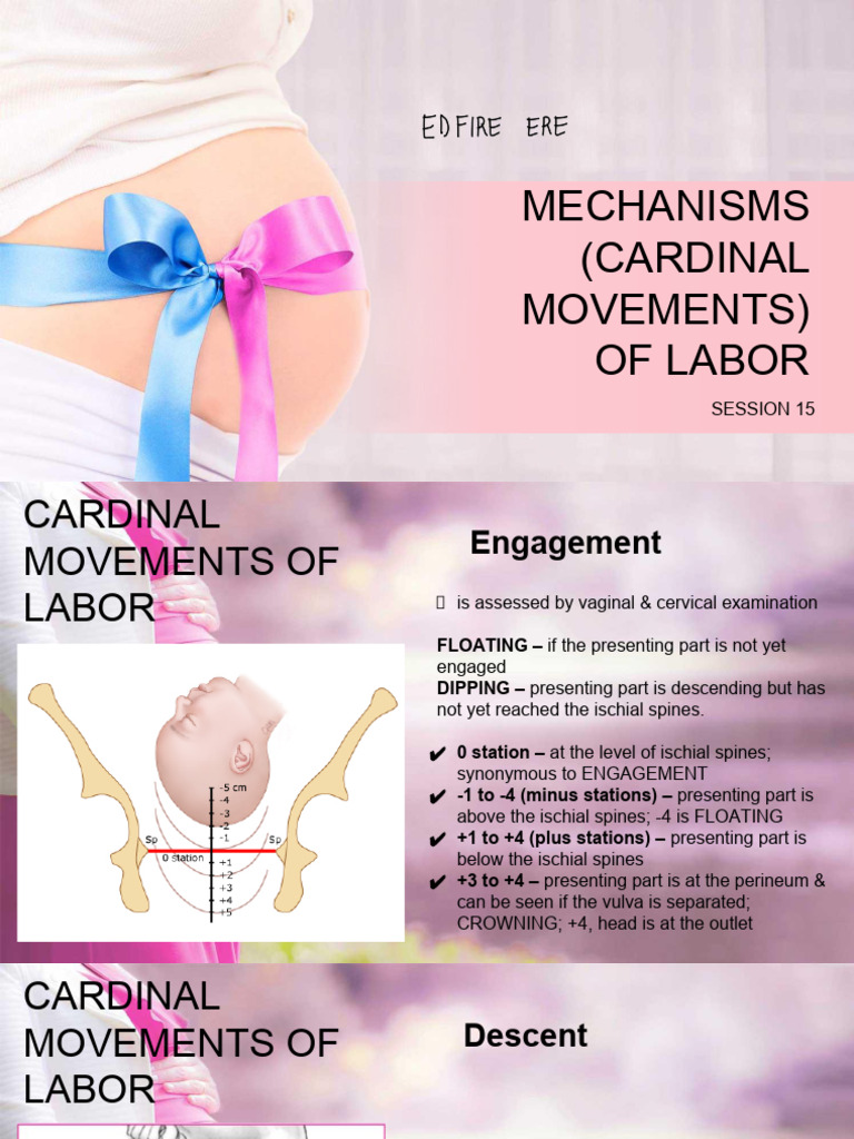 Cardinal Movements of Labor Explained | PDF | Pelvis | Childbirth