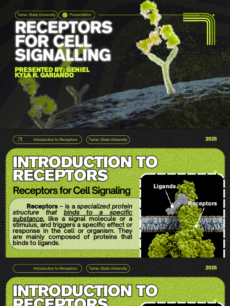 Cell Signaling Receptors Overview | PDF | Cell Signaling | Receptor ...