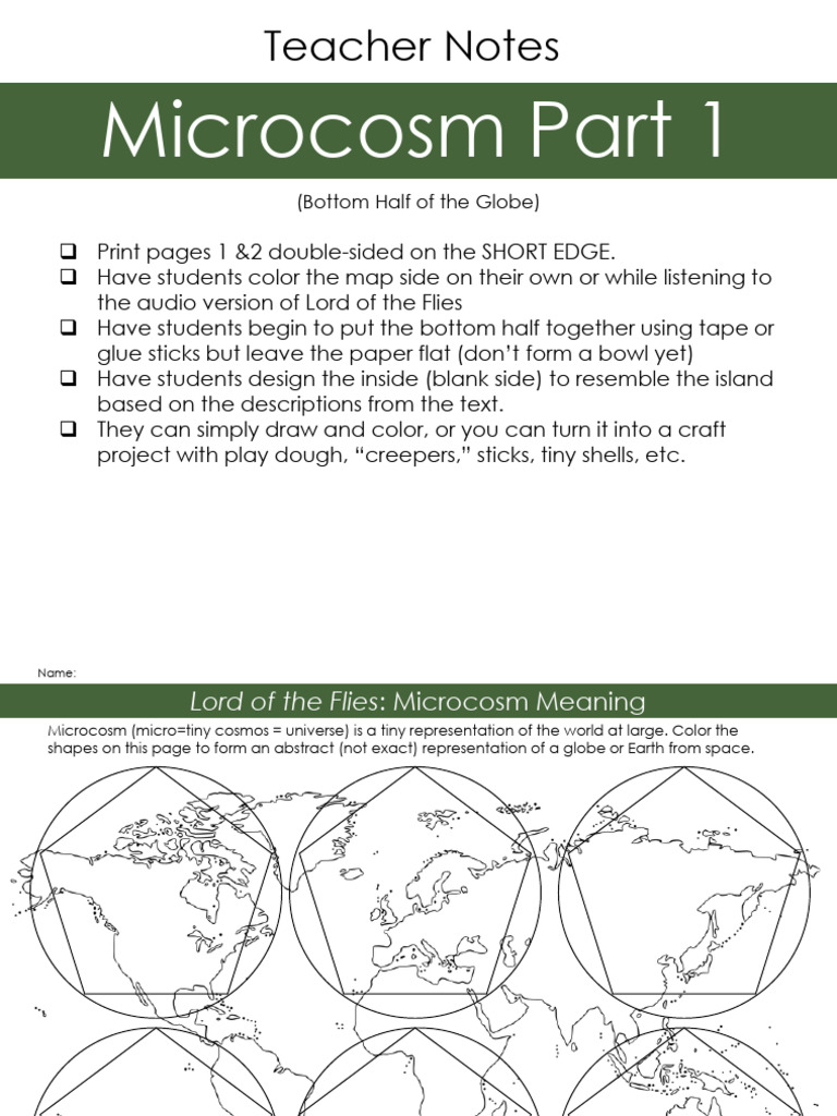 Lord of the Flies Microcosm Project Guide | PDF