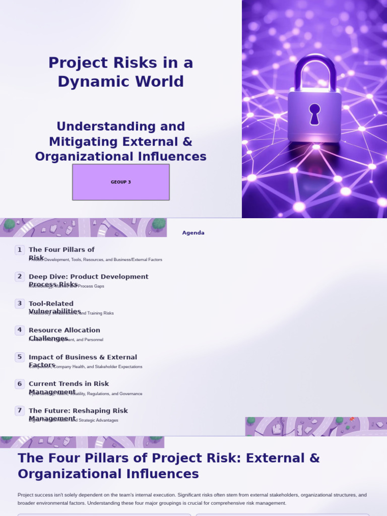 Project Risk Management Strategies | PDF | Risk | Risk Management