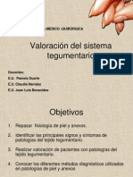 Valoracion Sistema-Integumentario MQ SEK