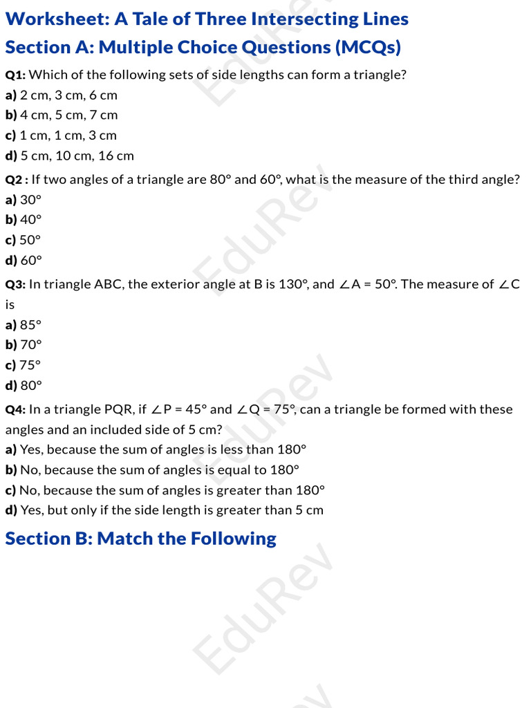 Triangle Geometry Worksheet Activities | PDF | Triangle | Geometry