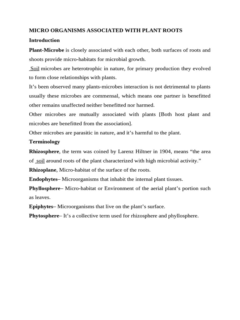 Microorganisms in Plant Root Ecosystems | PDF | Fertilizer | Yeast