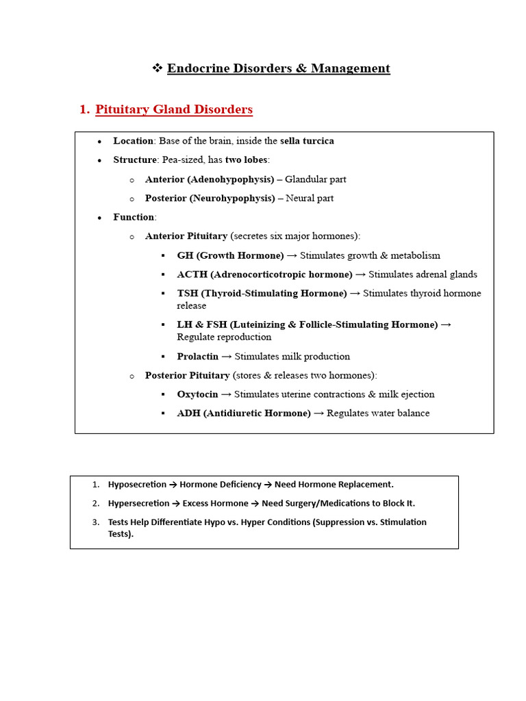 Endocrine Disorders Class Notes-3 | PDF | Thyroid | Pancreas