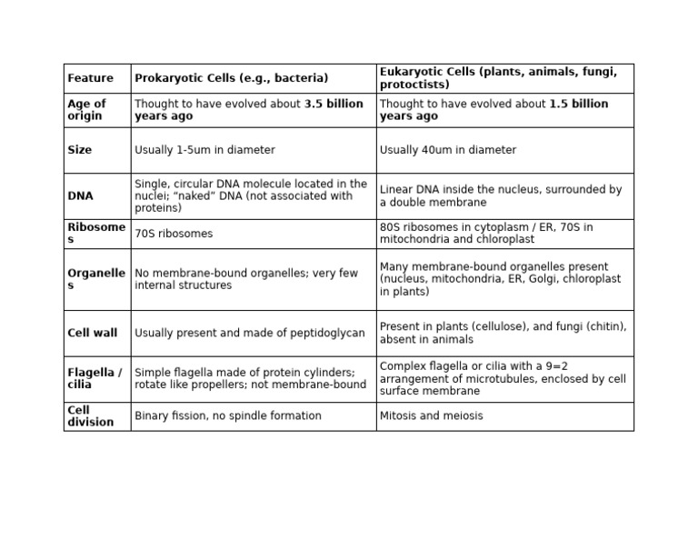Comparisons Table (Prokaryotes vs Eukaryotes) | PDF