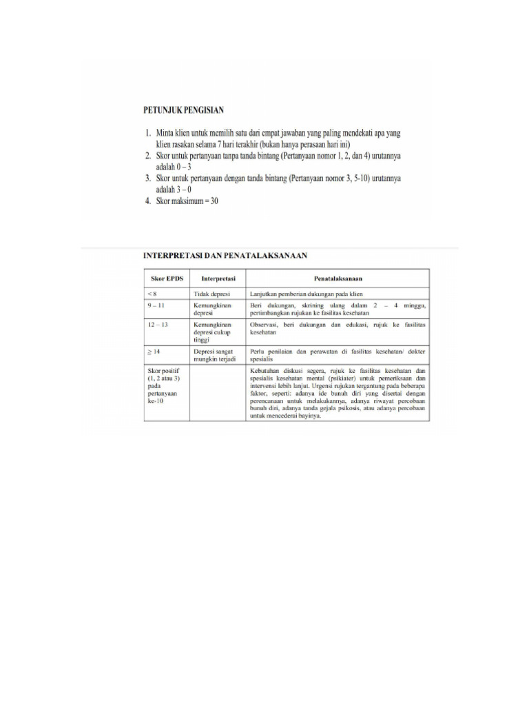 Cara Interpretasi EPDS | PDF
