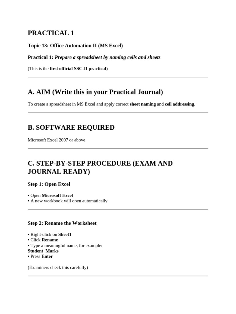 Practicals | PDF | Microsoft Excel | Spreadsheet