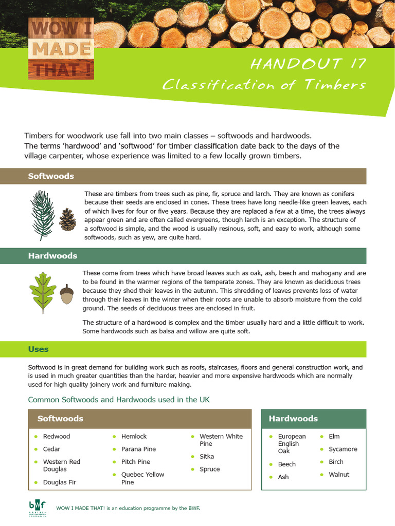 Softwoods vs Hardwoods in Timber Classification | PDF