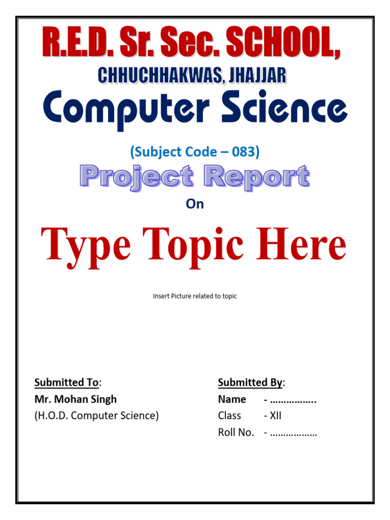 Class XII Computer Science Project Guide | PDF