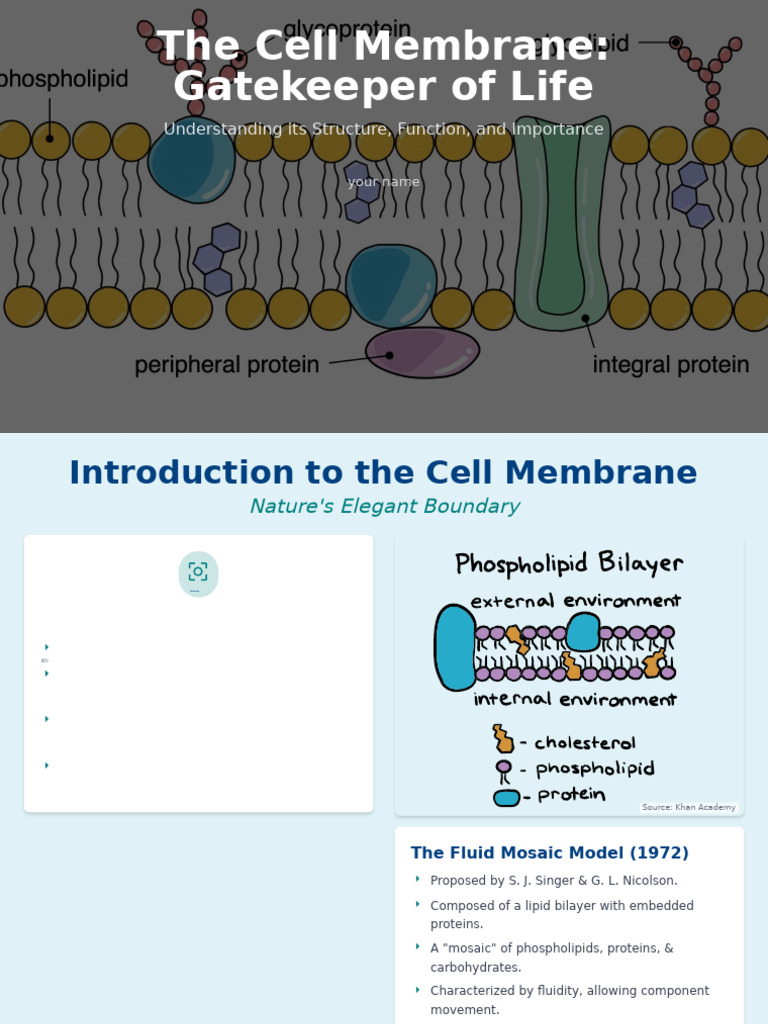 Cell Membrane: Structure and Functions | PDF | Cell Membrane | Lipid ...