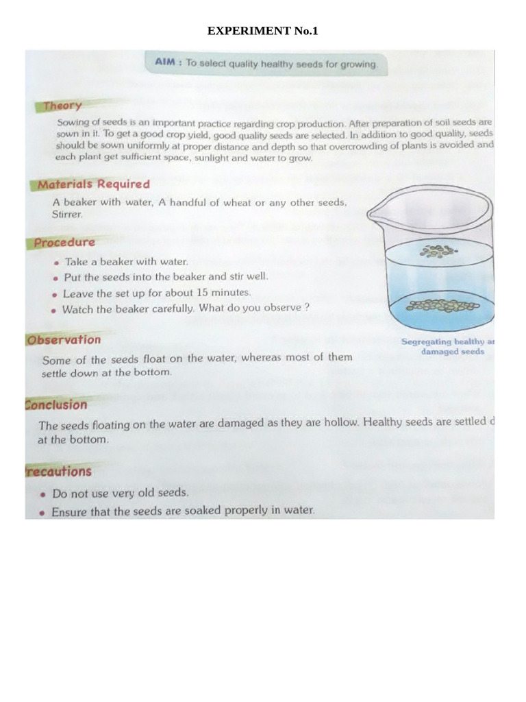 8 Science T1 Prac | PDF