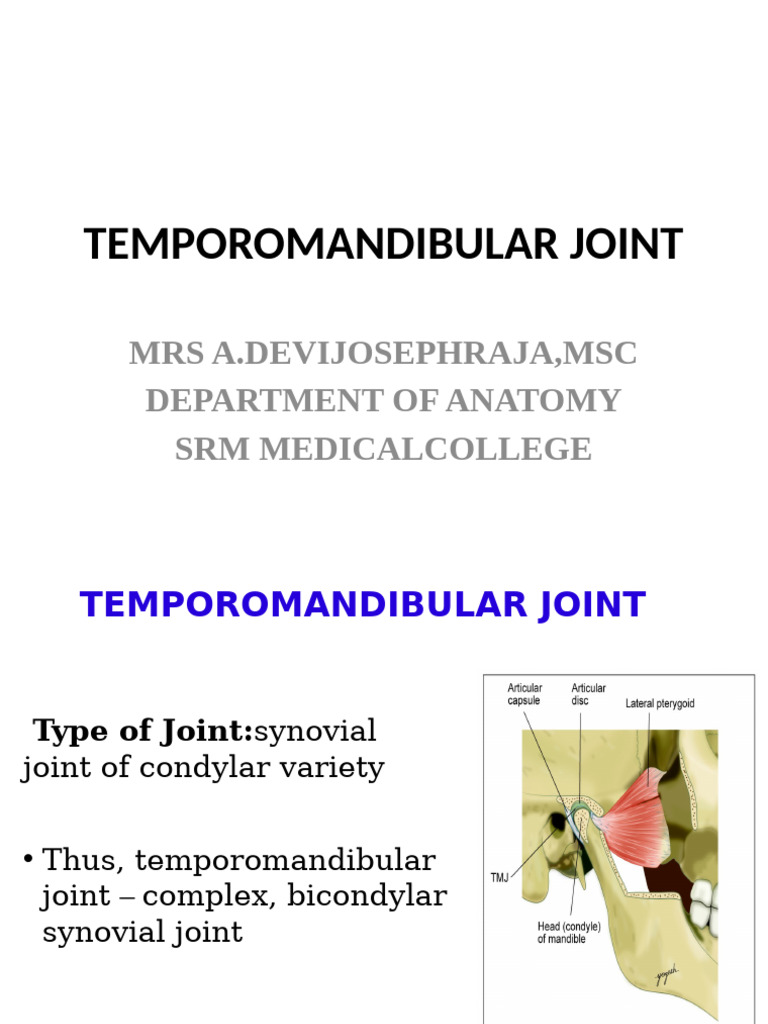 Anatomy of the Temporomandibular Joint | PDF | Human Anatomy | Human ...