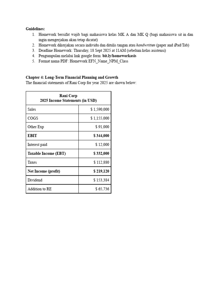 Rani Corp 2025 Financial Analysis Guide | PDF | Balance Sheet | Equity ...