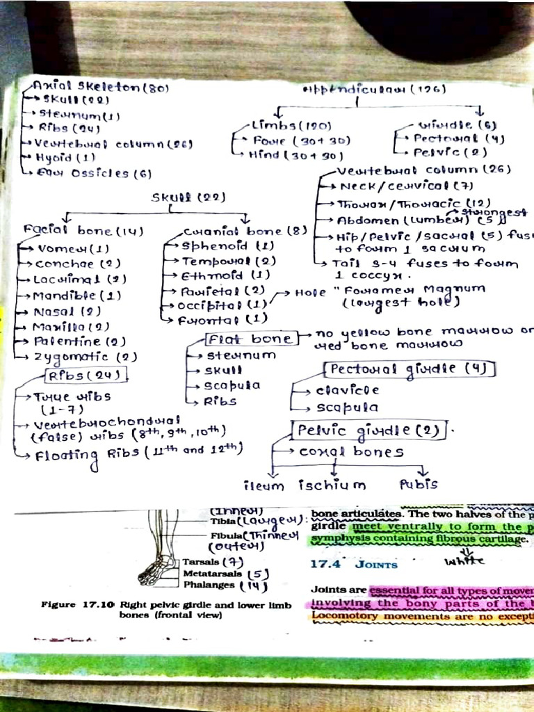 Effective Study Techniques for Success | PDF