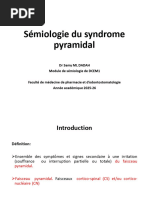 Comprendre le syndrome pyramidal | PDF | Cervelet | Système nerveux