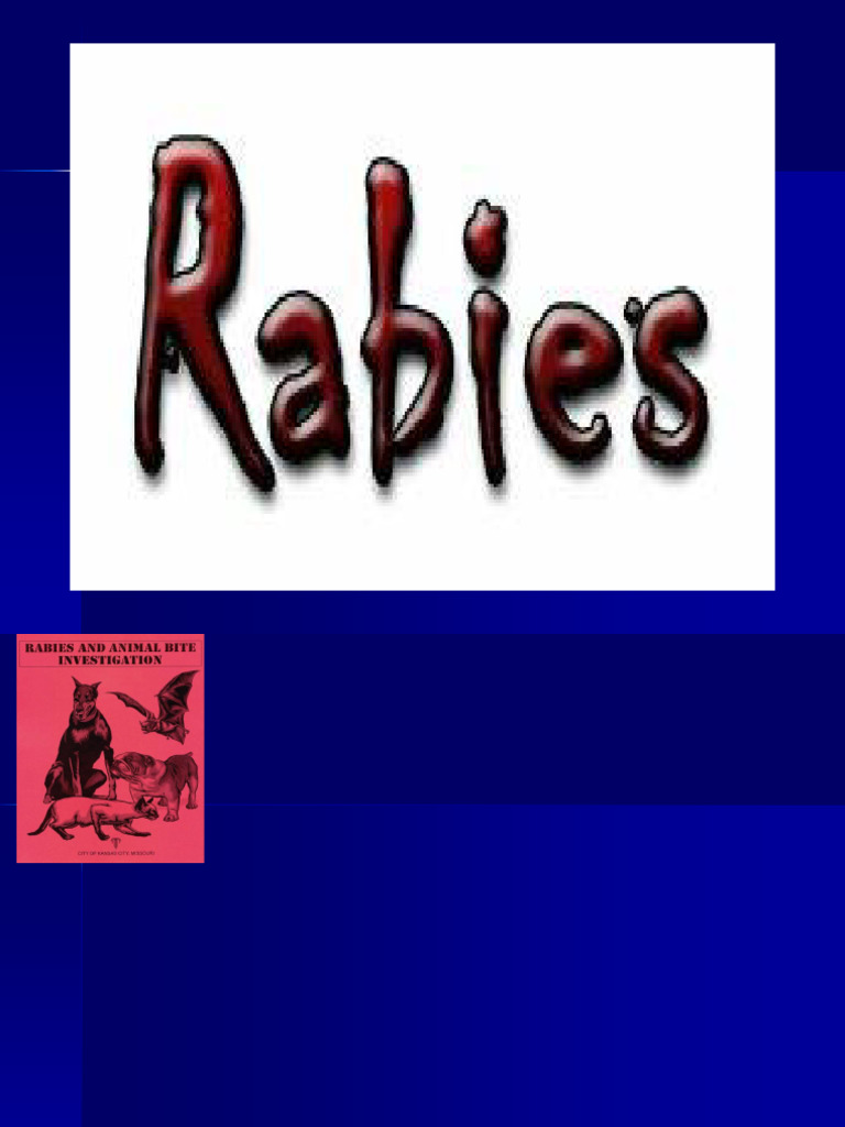 Understanding Rabies: Symptoms and Treatment | PDF | Rabies | Animal ...