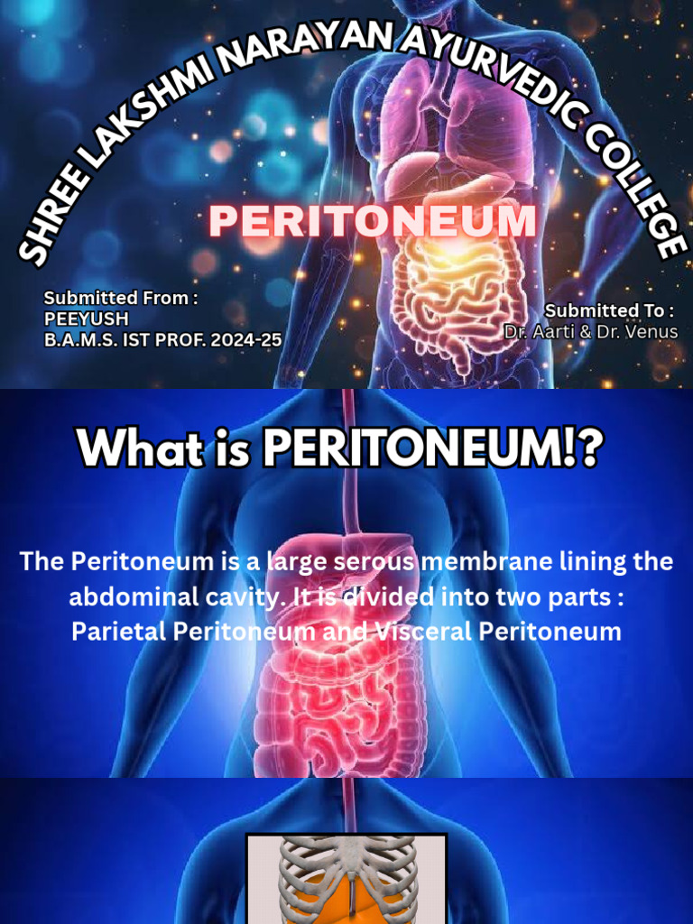 Peritoneum _20251214_174334_0000 | PDF | Peritoneum | Abdomen