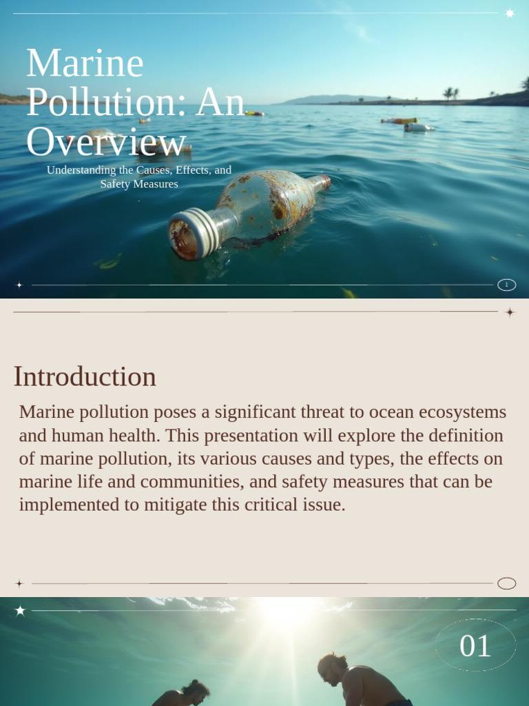 Marine Pollution: Causes and Solutions | PDF | Pollution | Sustainability