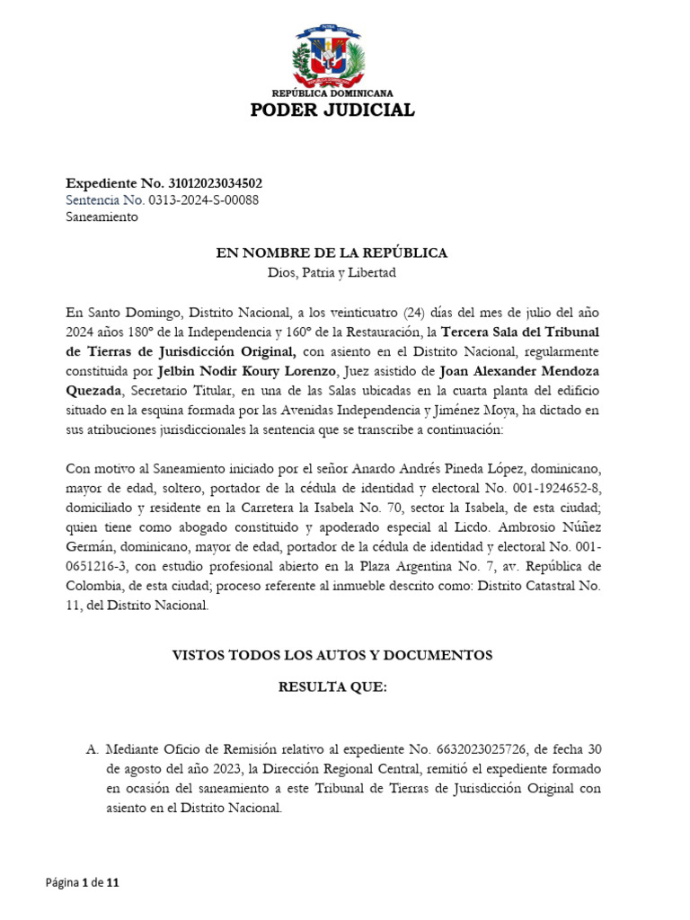 Sentencia de Saneamiento Inmobiliario RD | PDF | Posesión (Ley ...