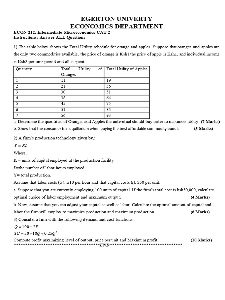 Microeconomics Utility and Production Analysis | PDF