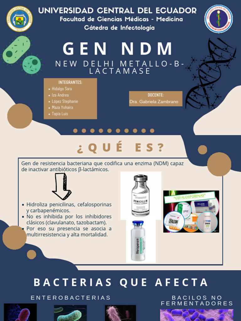 Resistencia bacteriana: NDM y tratamientos | PDF | Antibióticos ...