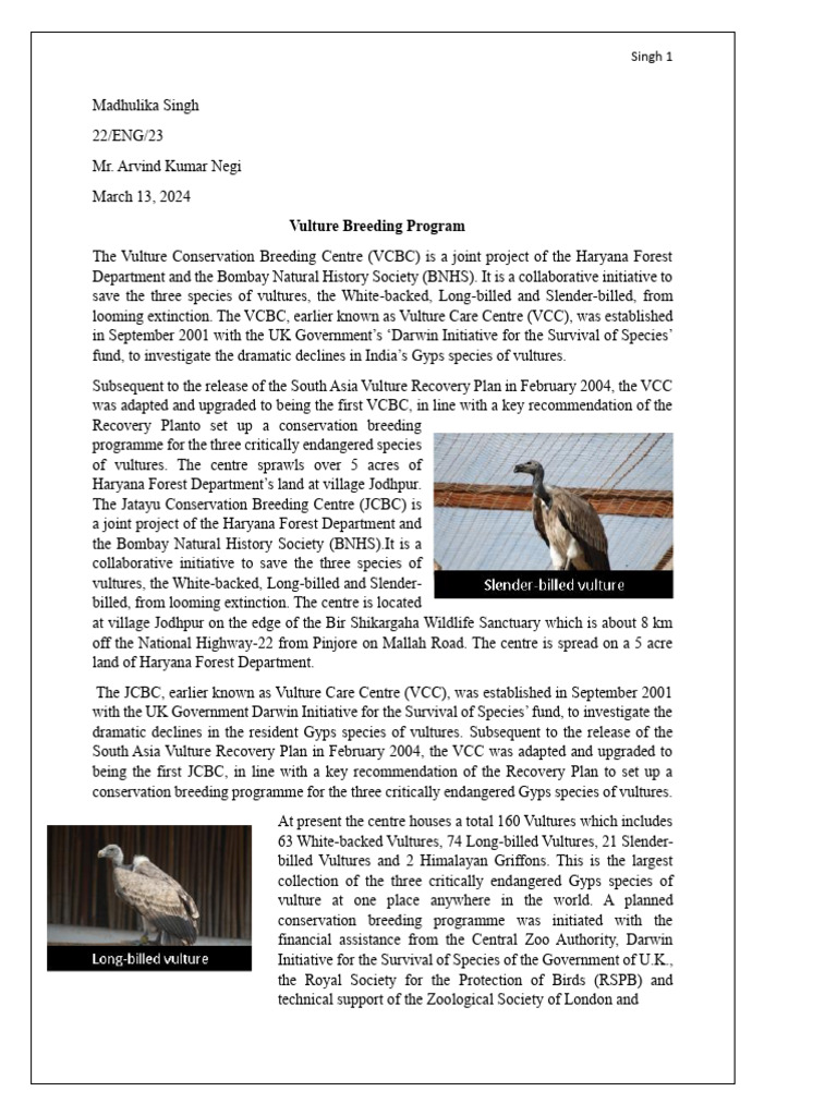 Vulture Conservation Breeding Program | PDF | Birds Of Prey | Birds
