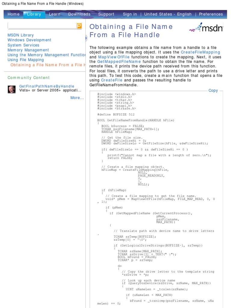 Obtaining A File Name From A File Handle (Windows) PDF Filename