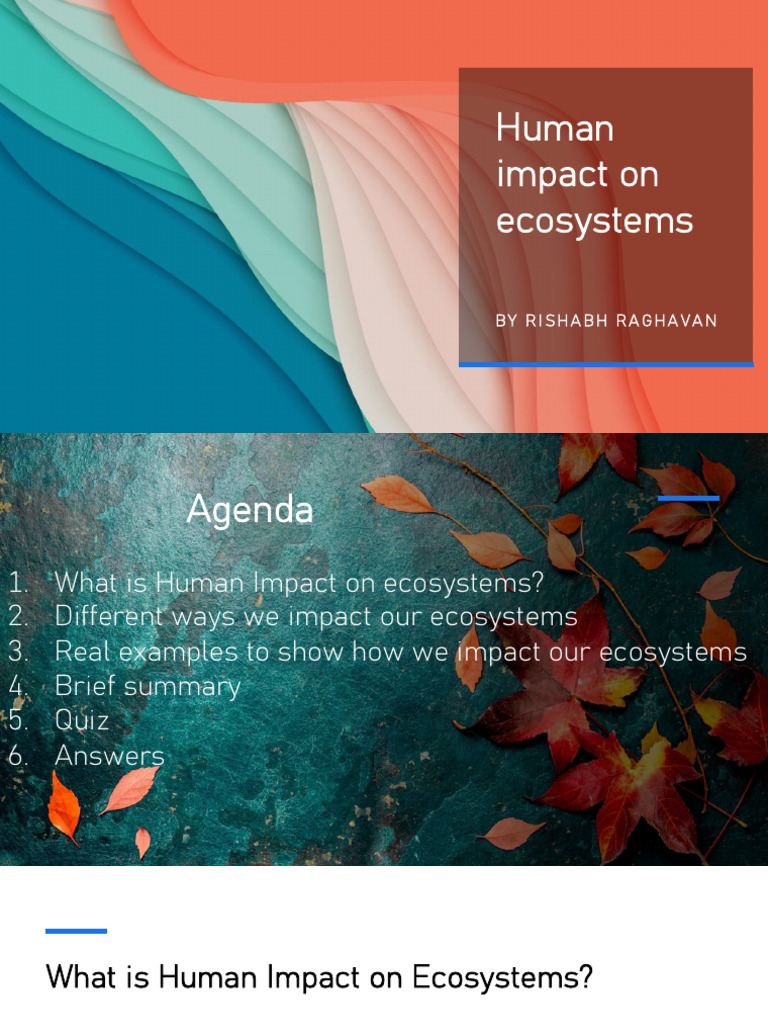 Rishabh's English Project | PDF