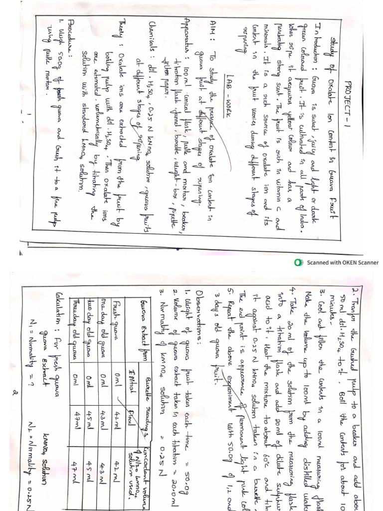 Chemistry Project | PDF