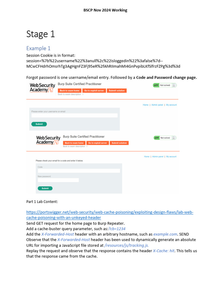 Web Security Exploitation Techniques Guide | PDF | Http Cookie | Hypertext