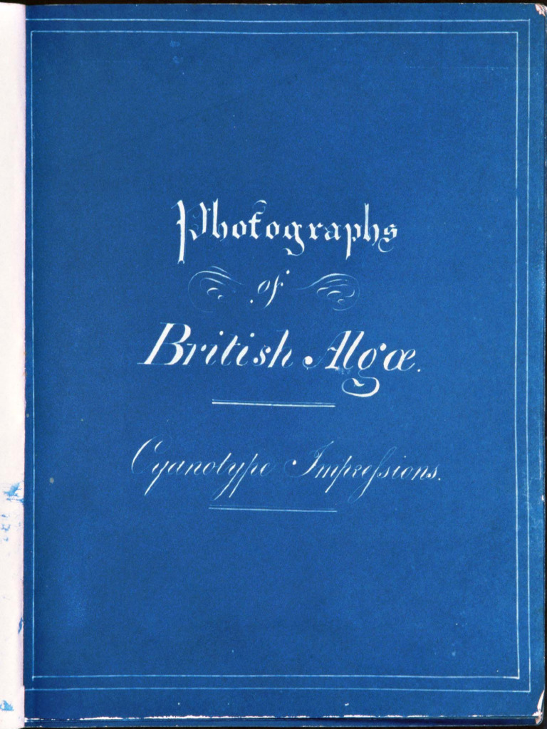British Algae Cyanotype Photography | PDF | Crafts