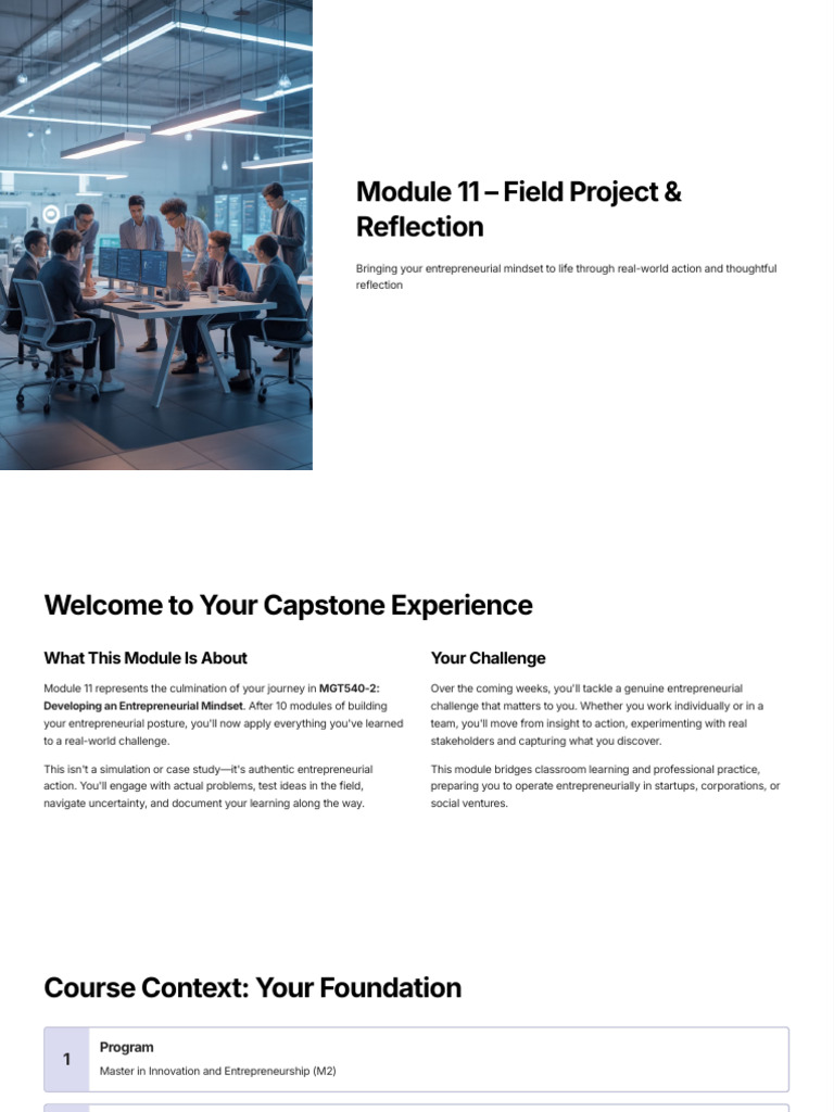 Module 11 Field Project and Reflection(1) | PDF | Entrepreneurship ...