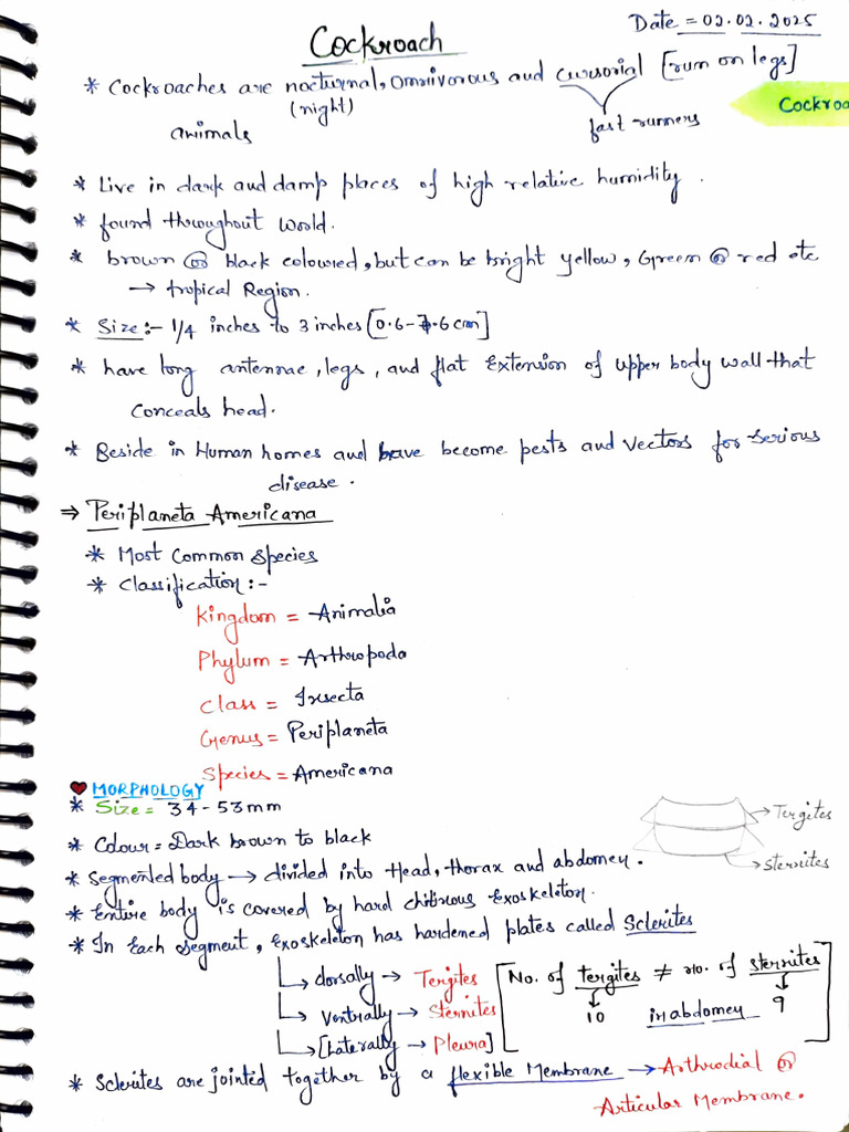 Cockroach Notes | PDF