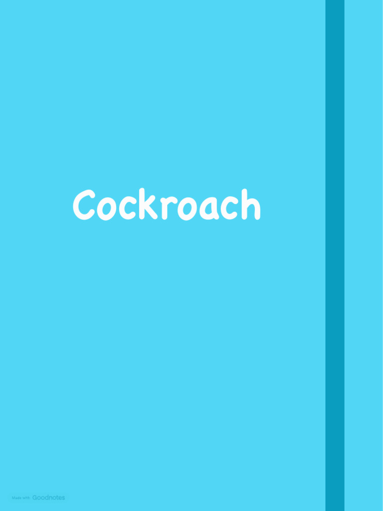 Cockroach 11th Biology | PDF | Anatomy | Arthropodology