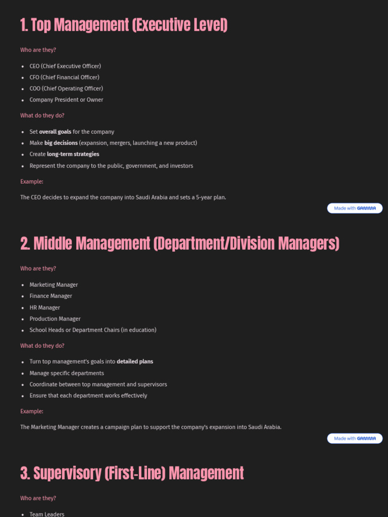 1 Top Management Executive Level | PDF | Chief Executive Officer | Business