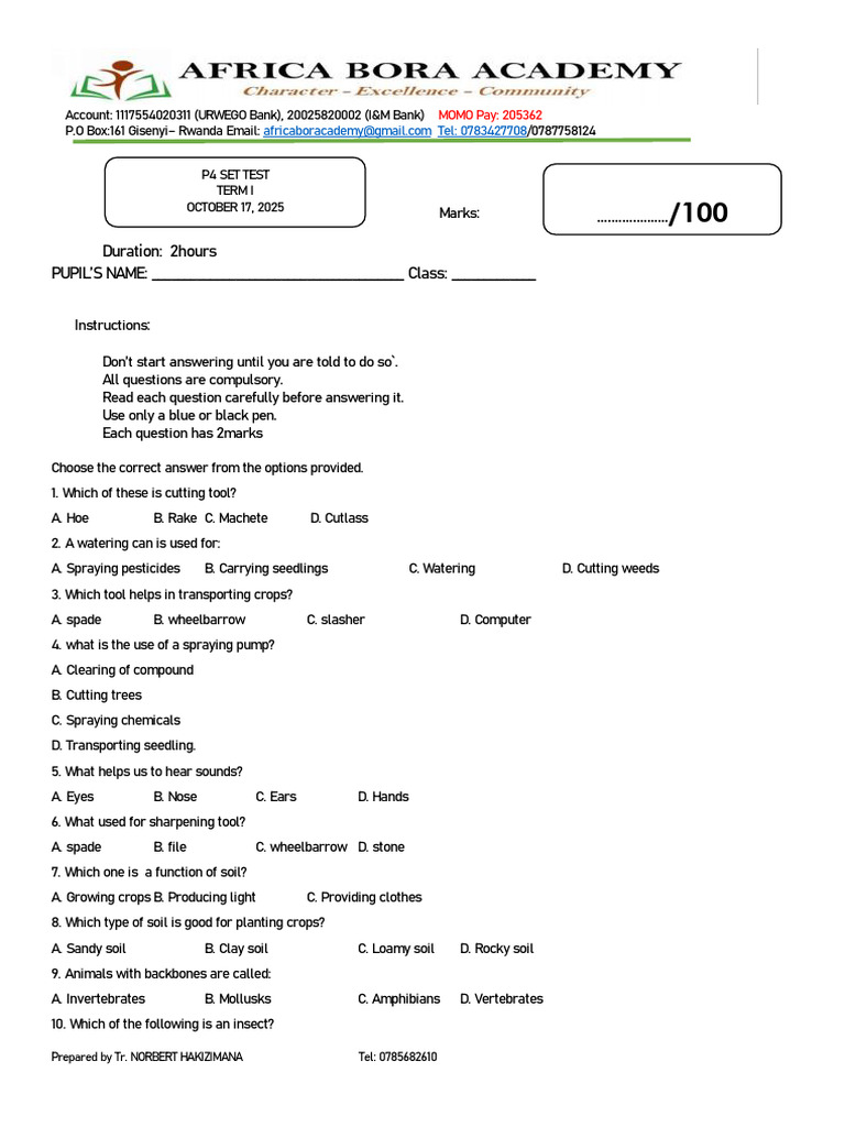 Pupil's Exam: Tools and Functions Quiz | PDF