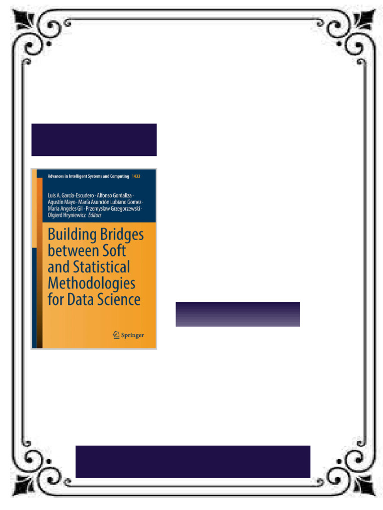 Building Bridges between Soft and Statistical Methodologies for Data ...
